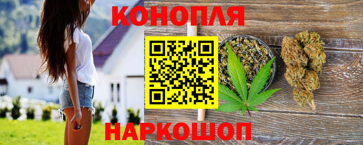 Марихуана семена Дагестанские Огни